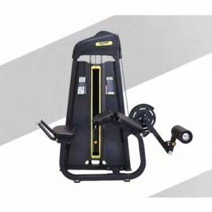 LEG EXTENSION 101 - Anson Fitness