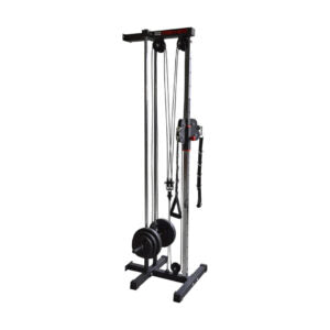 Adjustable Dual Pulley System Pull Down Fitness Station