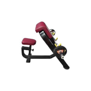 Bench with Olympic rod Holder, Bicep Curl - Anson Fitness