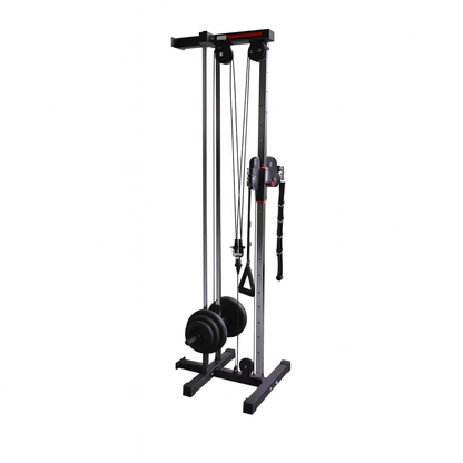 Adjustable Dual Pulley System Pull Down Fitness Station
