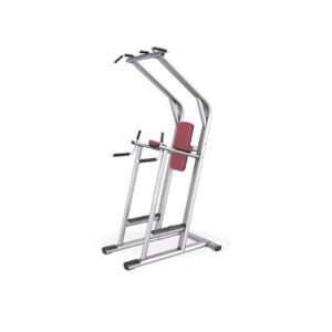 𝗗𝗨𝗔𝗟 𝗦𝗜𝗗𝗘𝗗 𝗟𝗘𝗚 𝗥𝗔𝗜𝗦𝗘 𝗖𝗛𝗜𝗡 𝗨𝗣 𝗗𝗜𝗣 𝗦𝗧𝗔𝗡𝗗 𝗚𝗬𝗠 𝗠𝗔𝗖𝗛𝗜𝗡𝗘 - Anson Fitness