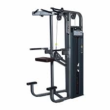 𝗠𝗨𝗟𝗧𝗜 𝗣𝗨𝗥𝗣𝗢𝗦𝗘 𝗖𝗛𝗜𝗡 𝗨𝗣 𝗗𝗜𝗣 𝗔𝗦𝗦𝗜𝗦𝗧 𝗠𝗔𝗖𝗛𝗜𝗡𝗘 | 𝗕𝗙𝗗 101 - Anson Fitness