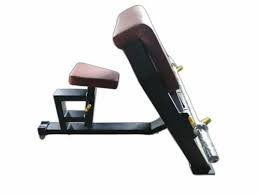 Bench with Olympic rod Holder, Bicep Curl - Anson Fitness