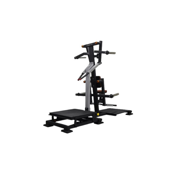 Anson Fitness Dual Side Lateral Shoulder Raise Standing- Sitting Plate Load Commercial Gym Machine