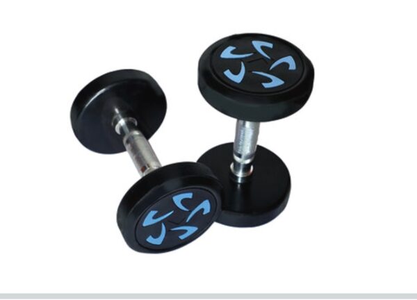 1 Kg Weight Hex Dumbbell